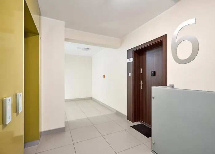 Lasek Marcelinski Comfy Poznaň